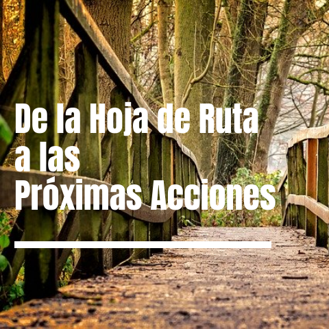 Hoja de Ruta Proyectos y Próximas Acciones